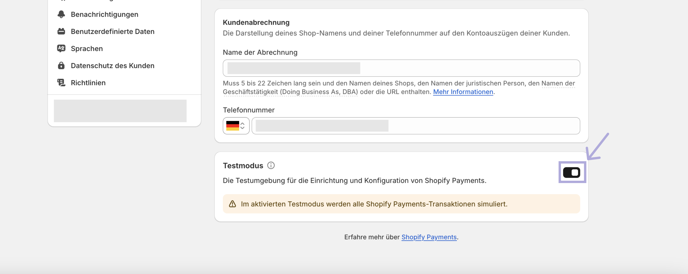 Shopify Payments Testmodus